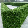 Meilleure vente eco friendly décorer les murs verts de jardin pour l&#39;usage extérieur